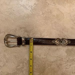 Brighton dark brown belt